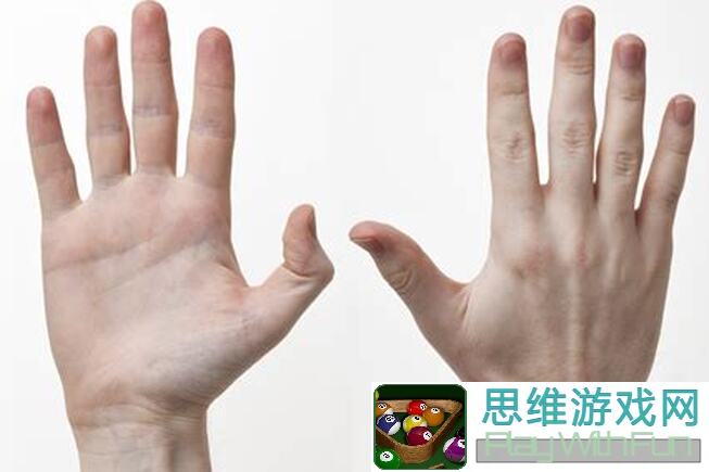 手残党福音！游戏王：决斗链接快速升级攻略，让你轻松提升角色等级，值得一看！