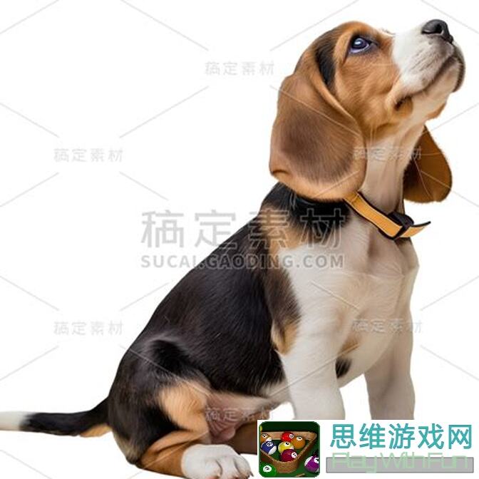 动物王者福利大放送！微信红包封面领取攻略速来围观