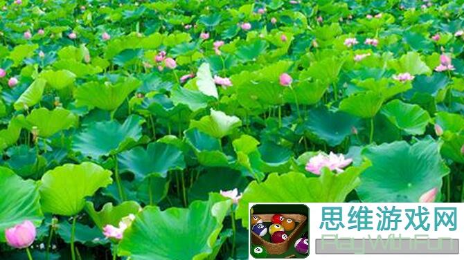夏季盛启！战舰联盟7.9~8.19舰萌活动攻略全解析，萌新福利大汇总！