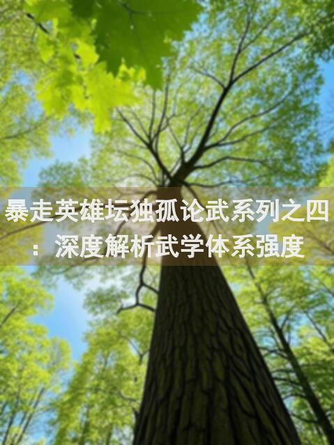 暴走英雄坛独孤论武系列之四：深度解析武学体系强度